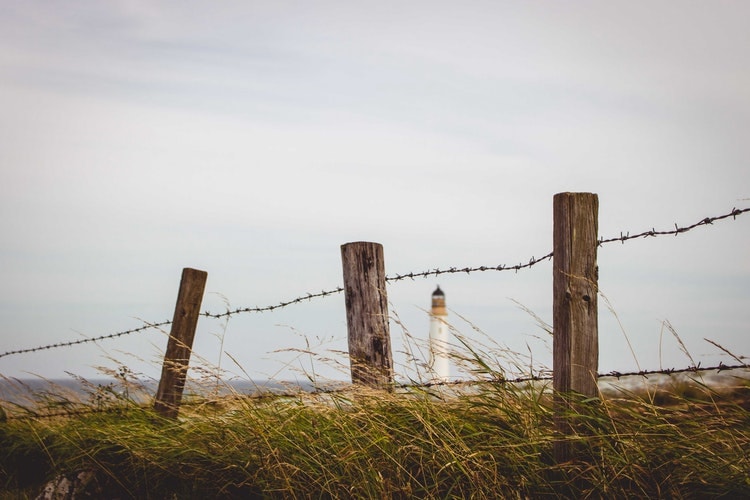 Fenceposts Made from Plastic Waste