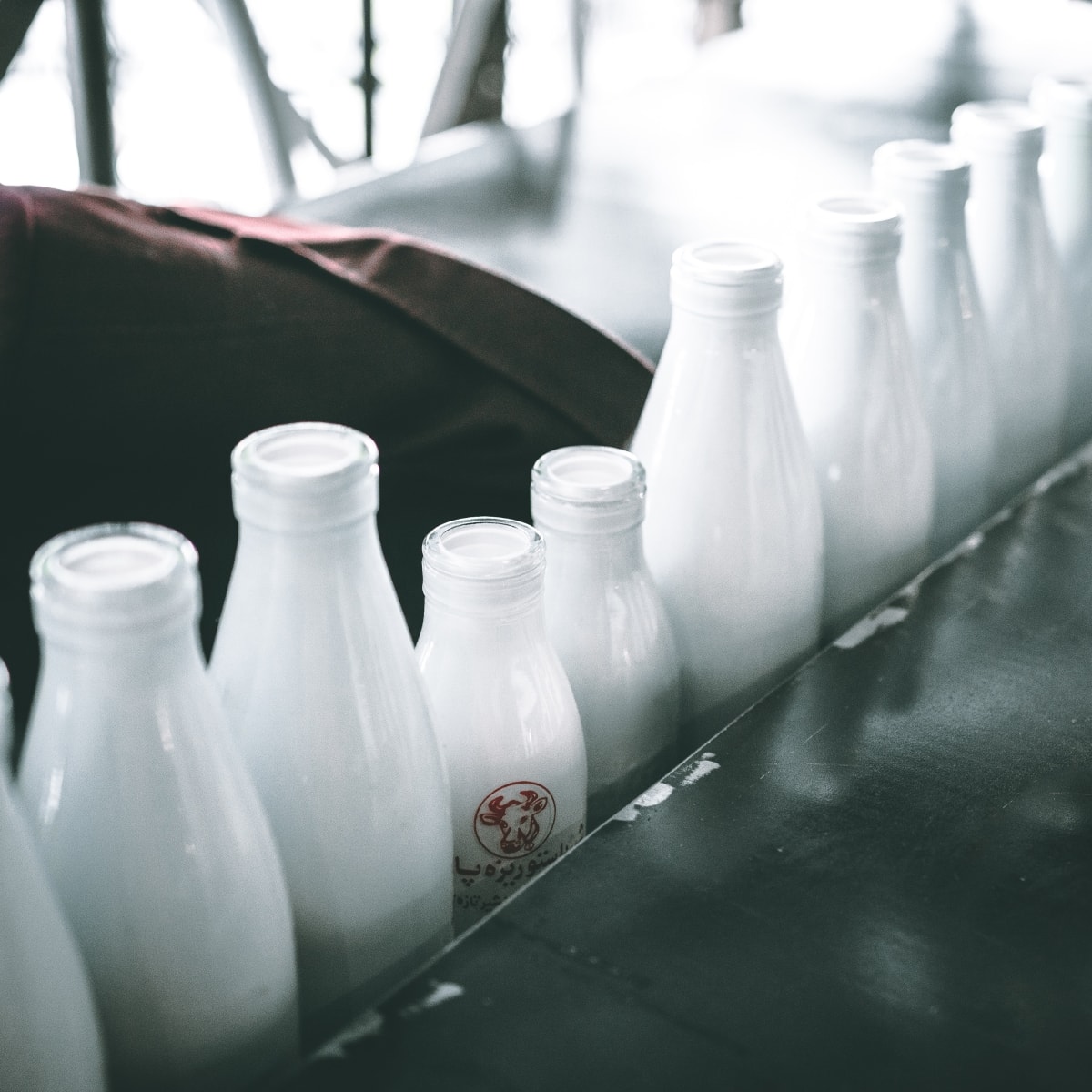 Milking it!