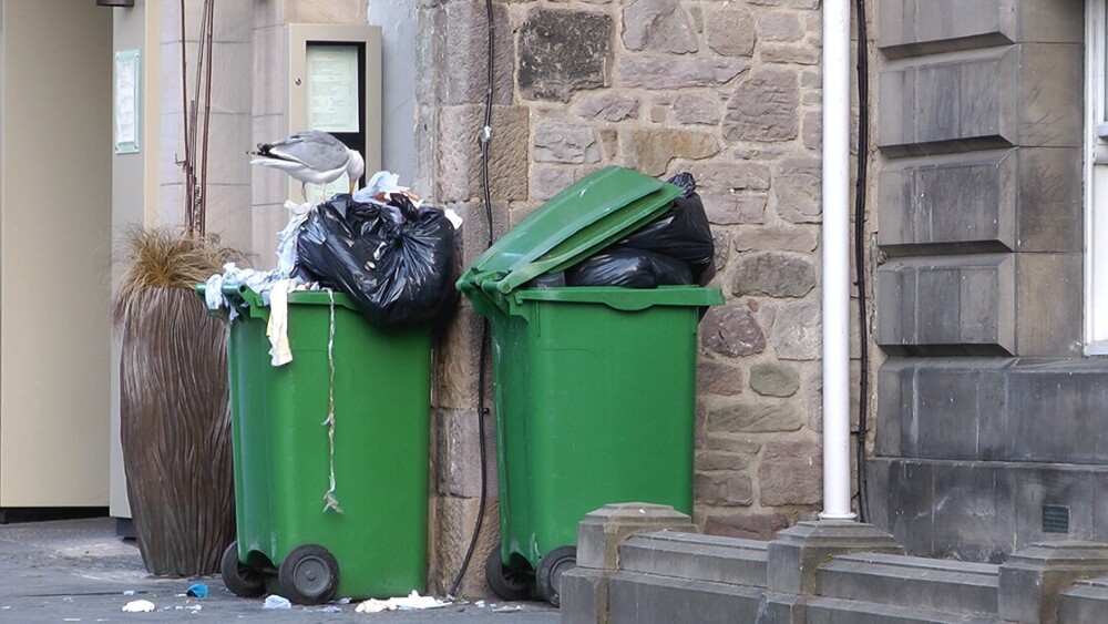 Stop Litter Leaving Your Bin